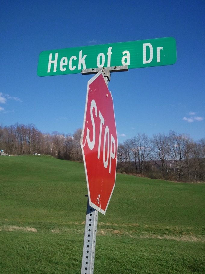 Rt. 6 Mainesburg / 
Voted "Best Street Sign of the Run"